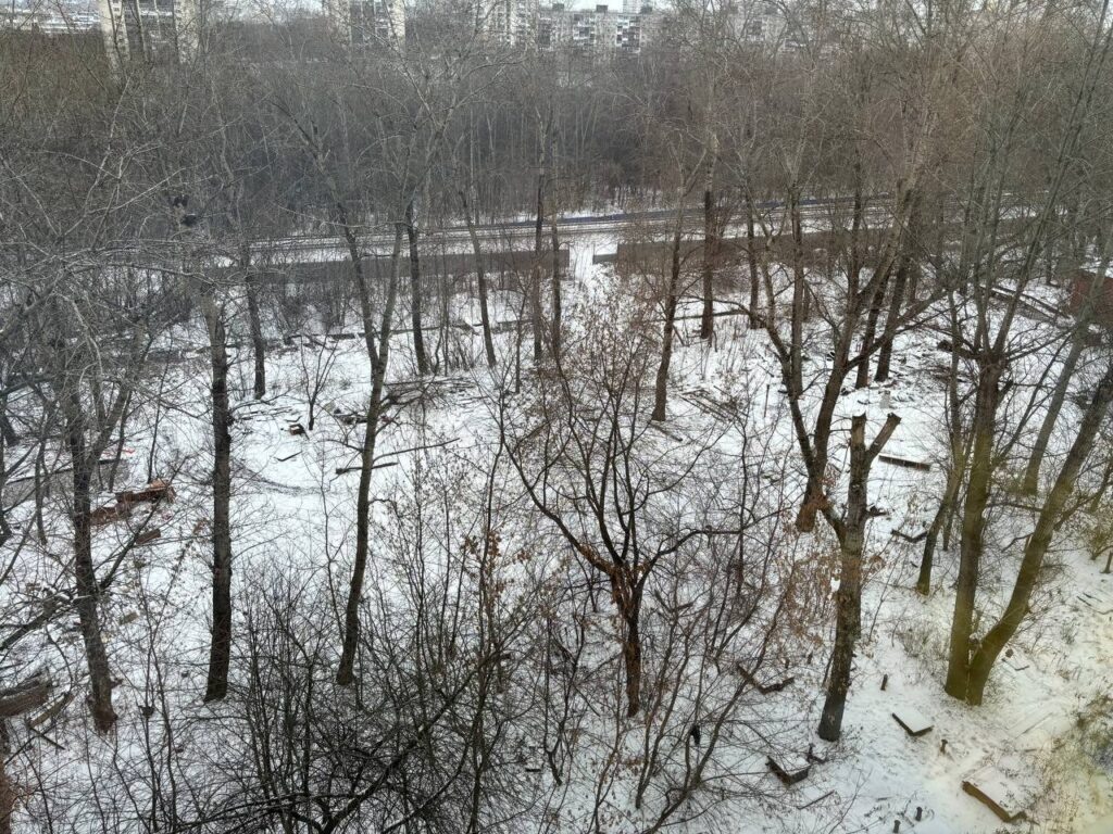    Фото: "В курсе.ру" Ольга Гилёва