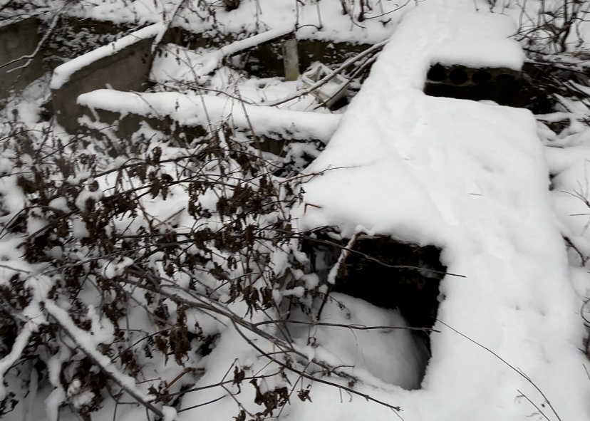    Фото: “В курсе.ру” Ольга Гилёва