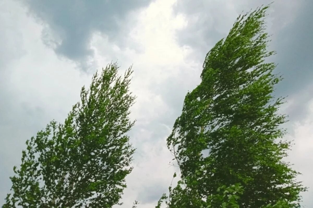    На завтра в Калининграде объявлено штормовое предупреждение