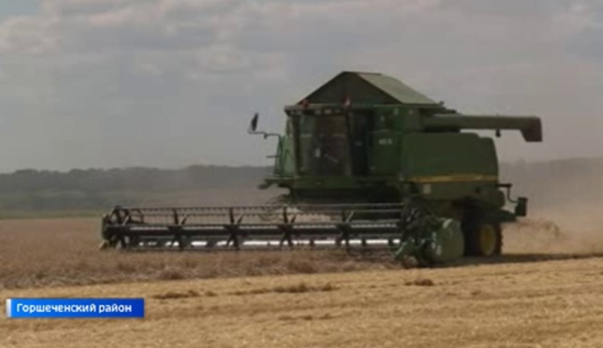    В Горшеченском районе Курской области прошел агрофорум