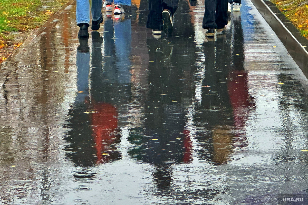 21 ноября в Москве может повторить рекорд столетней давности по количеству выпавших осадков. Фото: Екатерина Сычкова © URA.RU