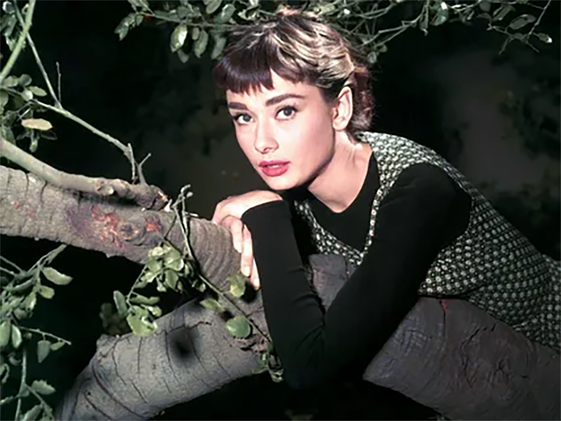 С дерева, растущего напротив окон богатеев, жизнь в доме казалась Сабрине сказкой