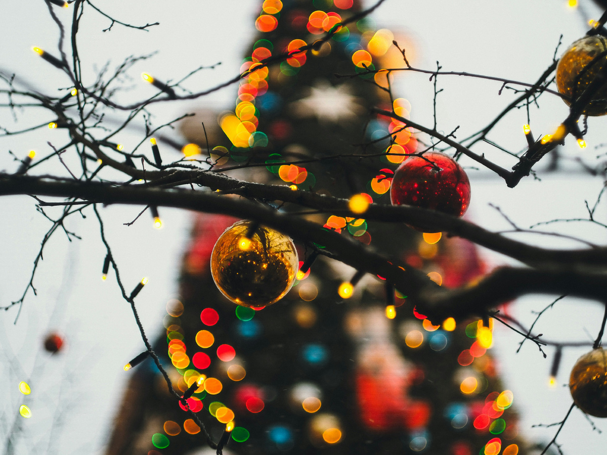 Фото: © Daria Shatova/Unsplash