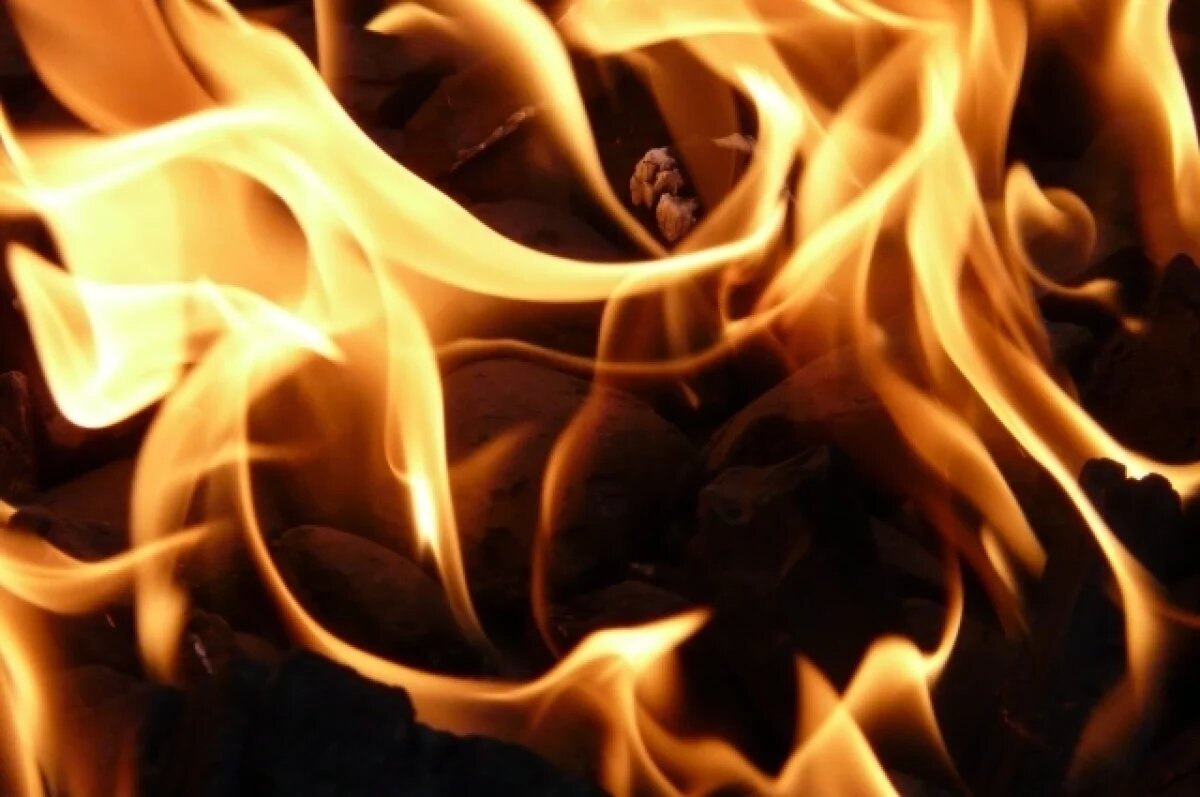    Пожар в селе Воронежской области унес жизнь двоих людей