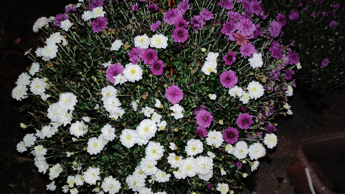 2 октября 2023