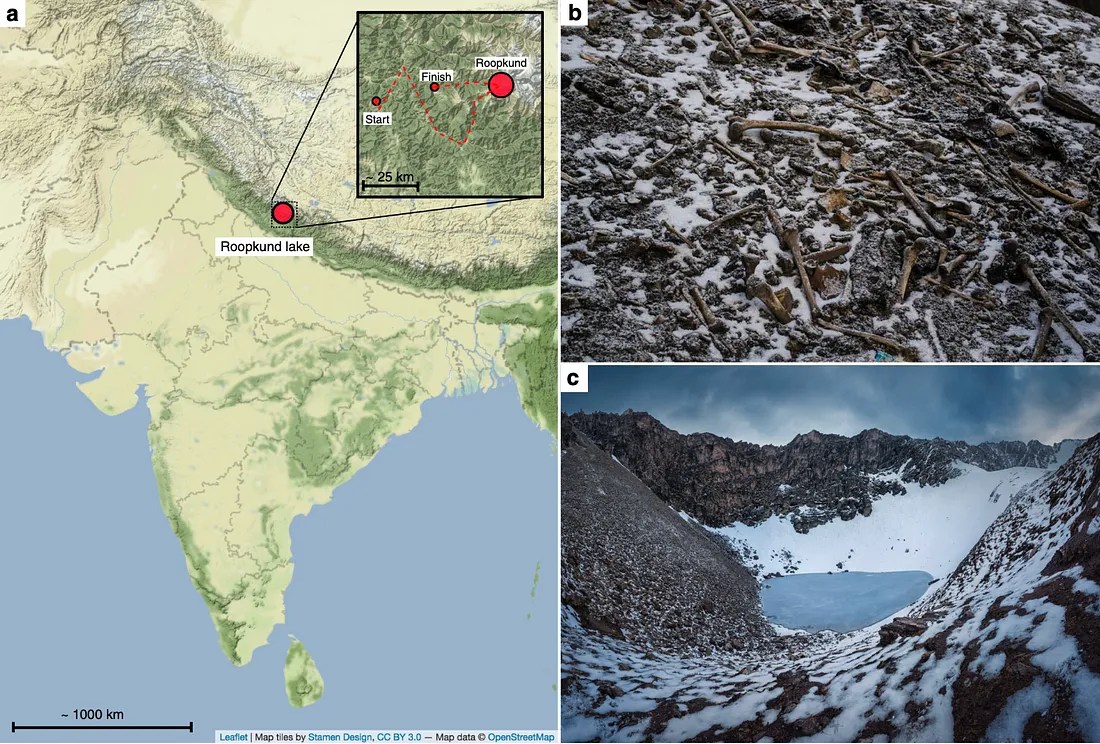 Изображение воспроизведено из Harney, É., et al., 2019, Nature Communications ссылка , , на условиях лицензии Creative Commons Attribution 4.0 International.b Останки скелетов поселенцев — Фото Химадри Синха Роя ссылка , c Изображение озера Роопкунд и окружающих гор — Фото Атиша Вагвасе