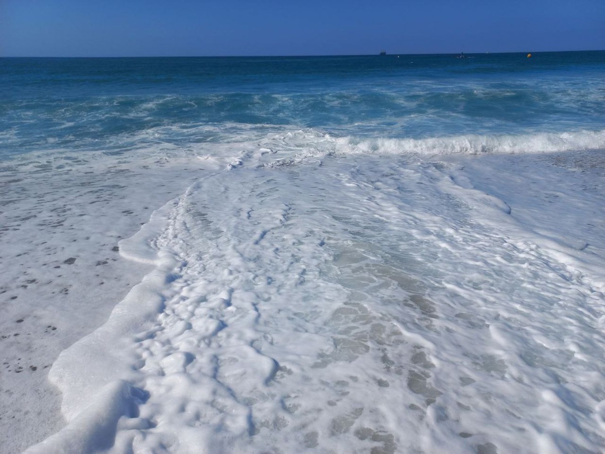 Фото автора.