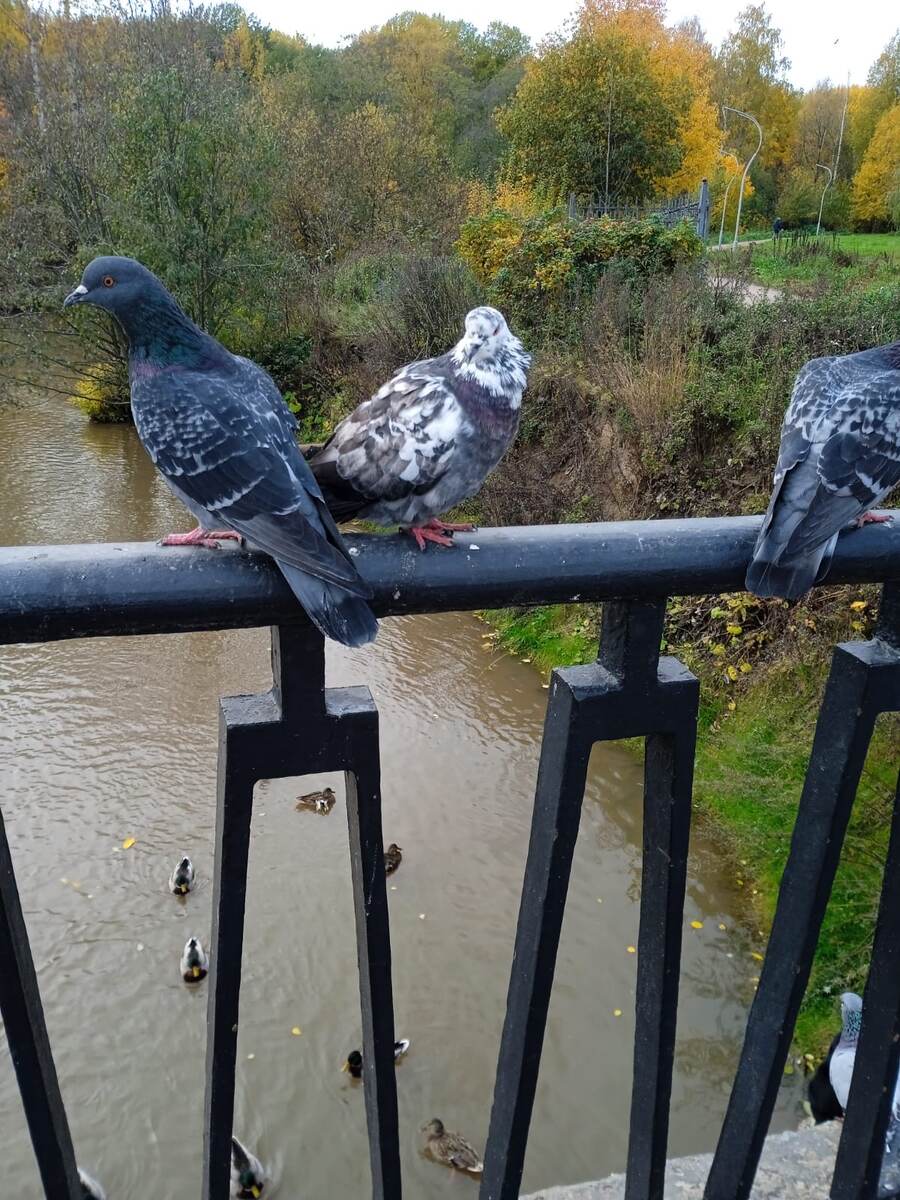 Просто фотография 