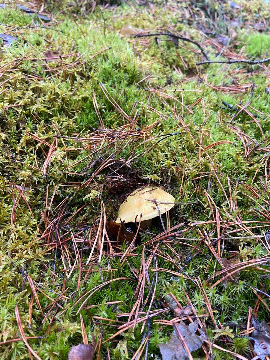 Эта и следующая со второго