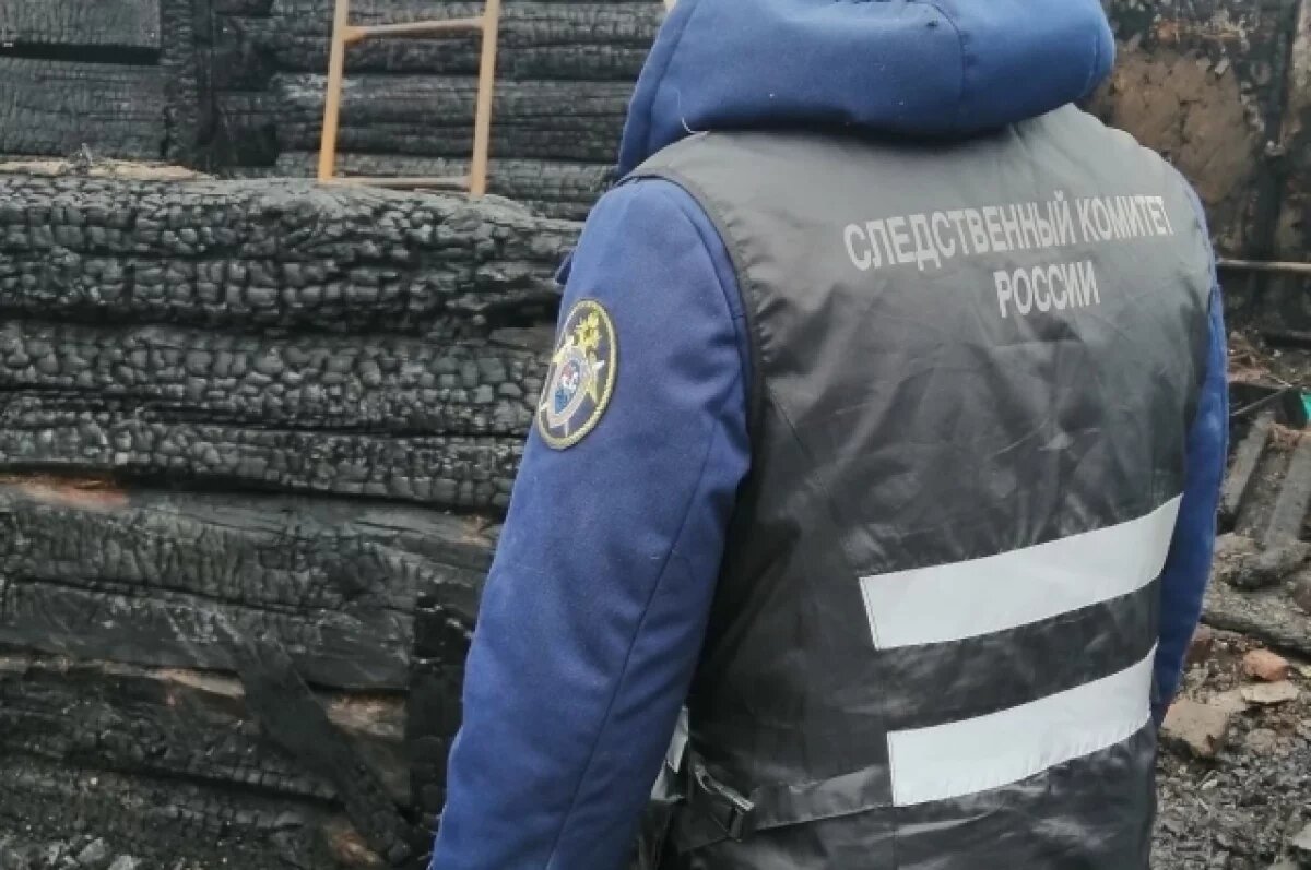    В Брянске возбудили дело о гибели троих людей на пожаре в селе Борщово