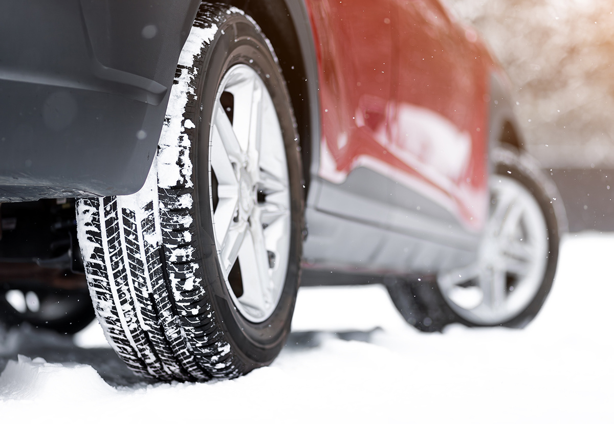 Фото: shutterstock.com/Everyonephoto Studio