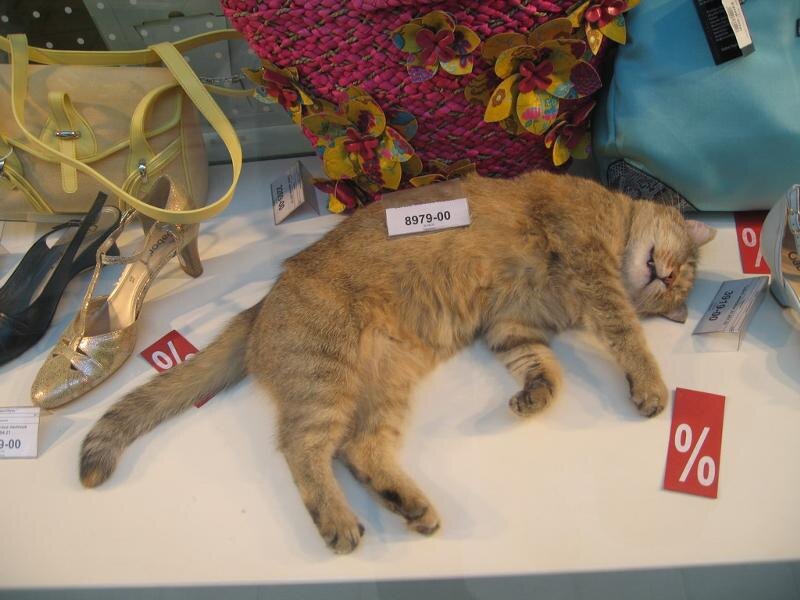 источник Яндекс-картинки