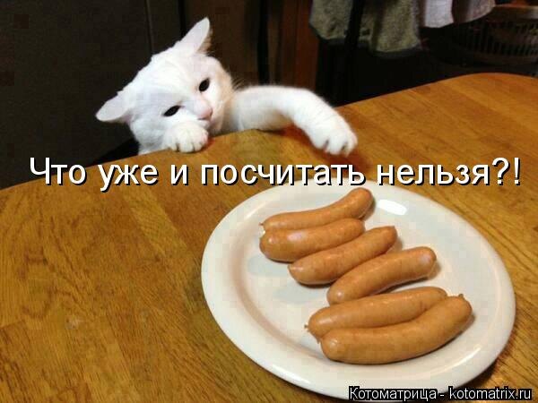 источник Яндекс-картинки