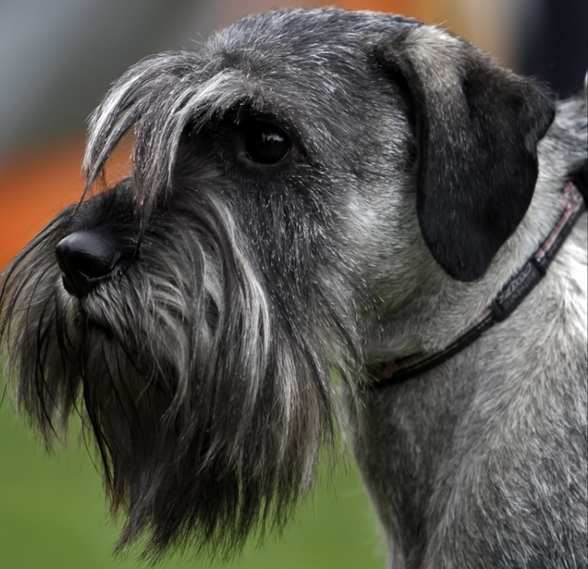 взято из яндекса.