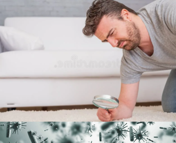 Пылинка есть? А если найду?