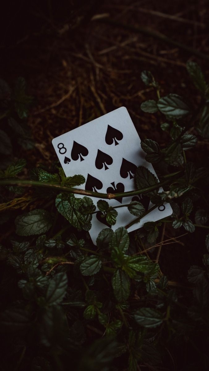 Иллюстрация из открытых источников