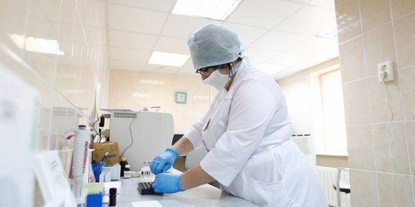    Фото пресс-службы администрации Краснодарского края.