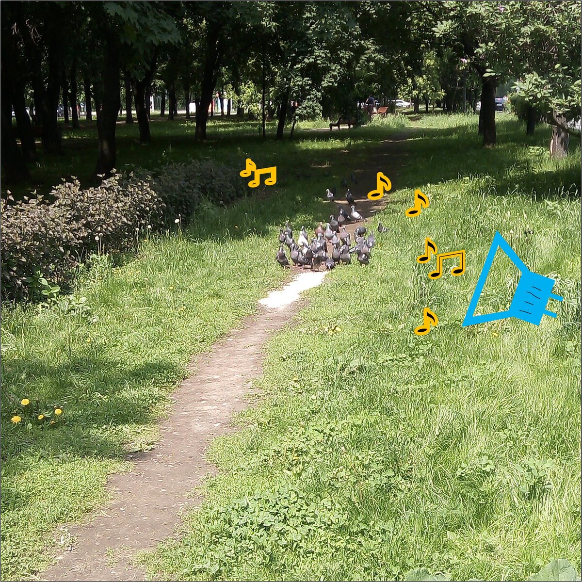 А права получили?