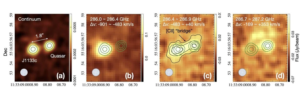    Снимки пары из галактики J1133c и квазара J1133+1603, сделанные ALMA. Наблюдения в разных диапазонах наложены друг на друга, чтобы подсветить аспекты их взаимодействия. Так на (c) виден «мостик» газа, на (d) — области излучения к северу от квазара / © Yongda Zhu et al. ArXiv:2411.06698v1 (2024)