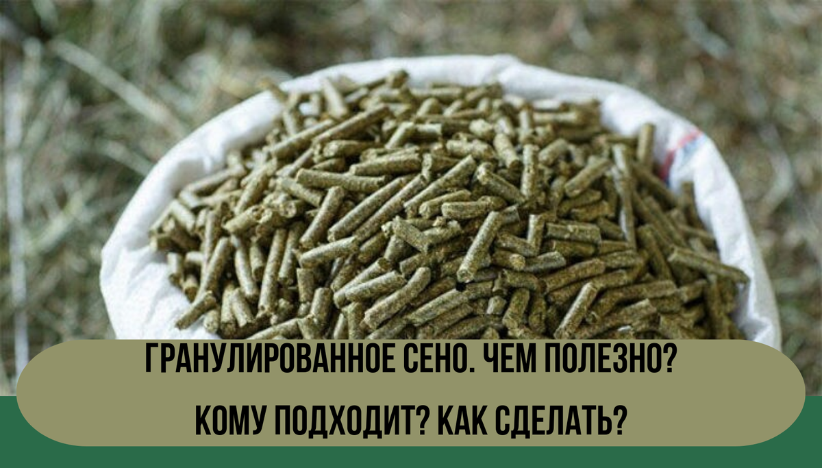 На фото: гранулированное сено