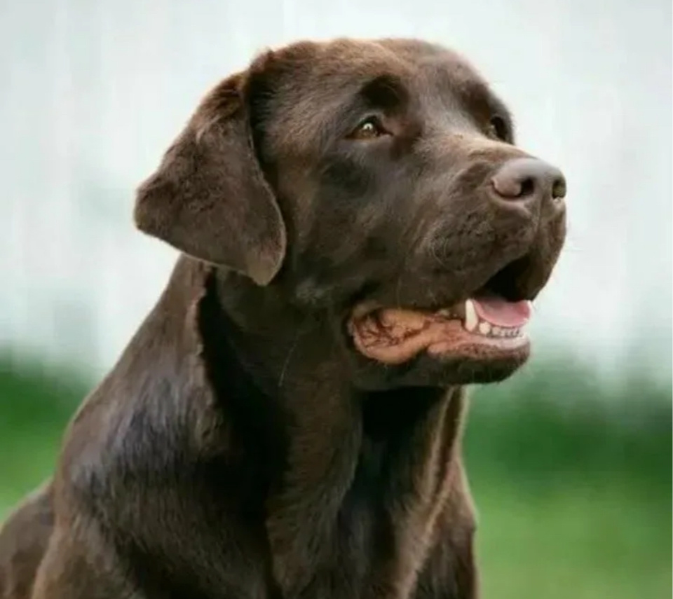 Яндекс.картинки для обложки