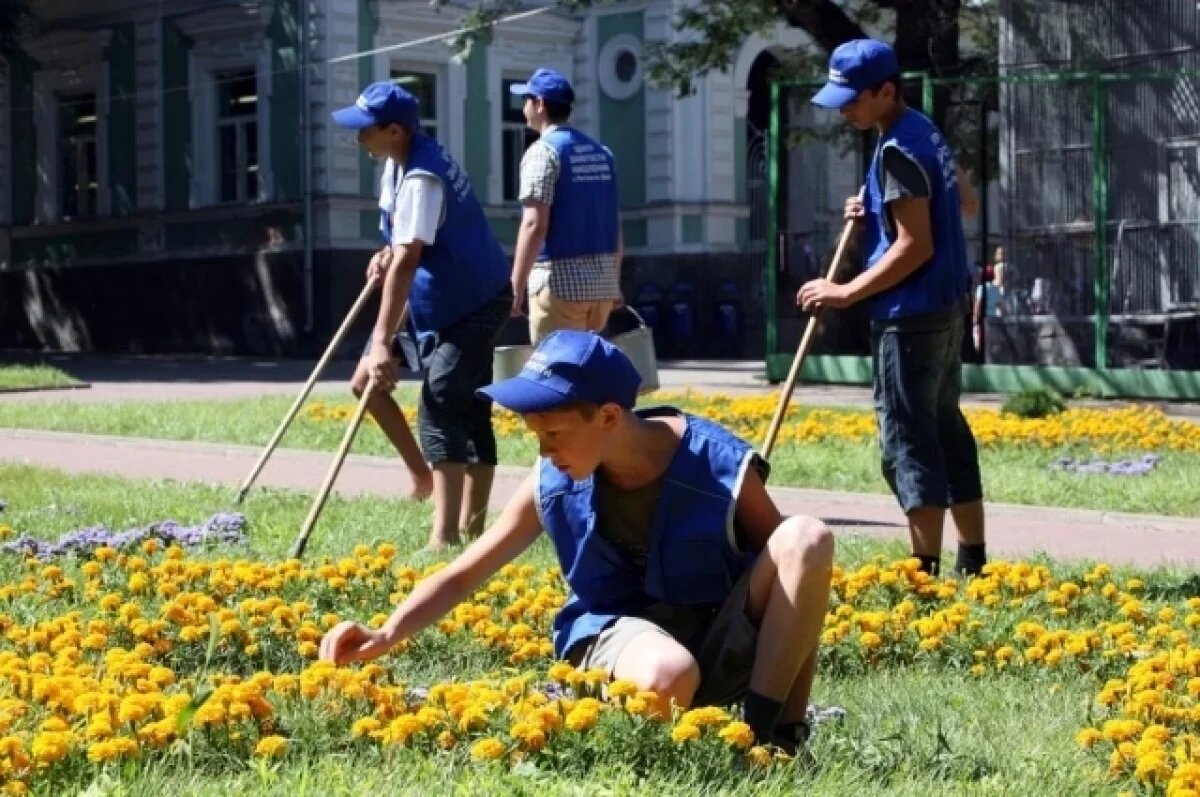    Стандарт трудоустройства несовершеннолетних внедрят в Новосибирске