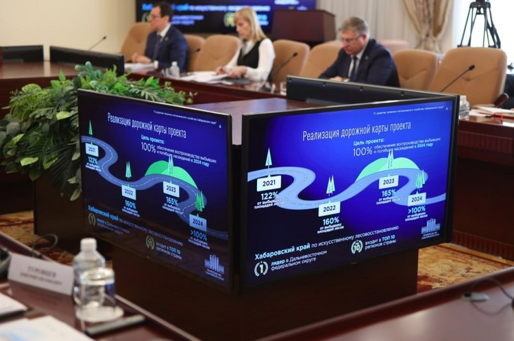    К 2029 году в Хабаровском крае запланировано построить 74 лесных теплицы