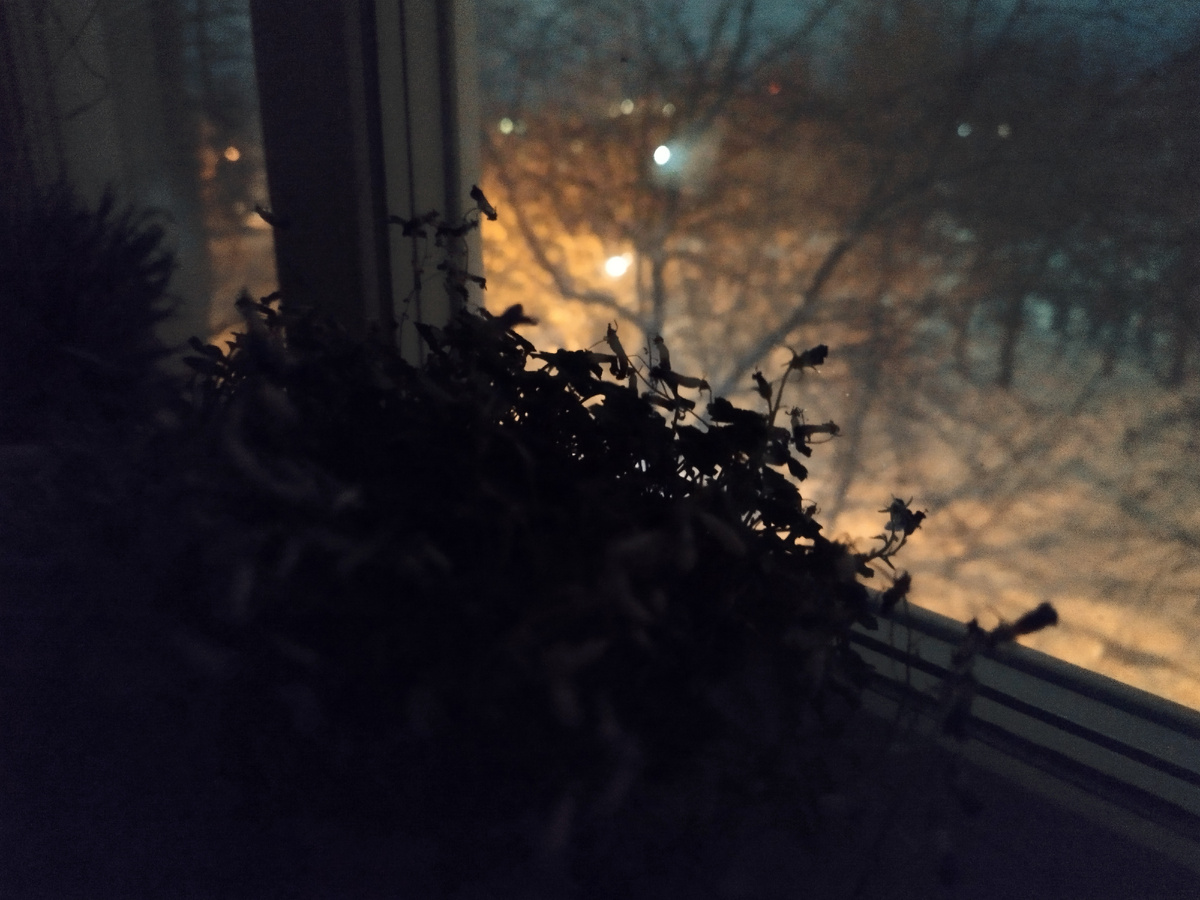 За свои "12 месяцев" я засяду, пожалуй, завтра. Сегодня уже поздно.