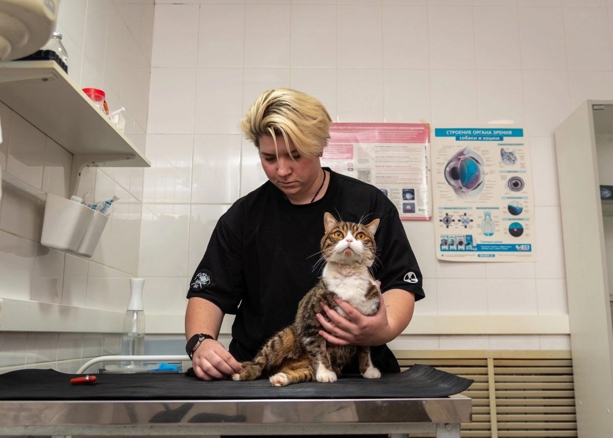    Волонтёры планируют найти для Семёна любящего хозяина