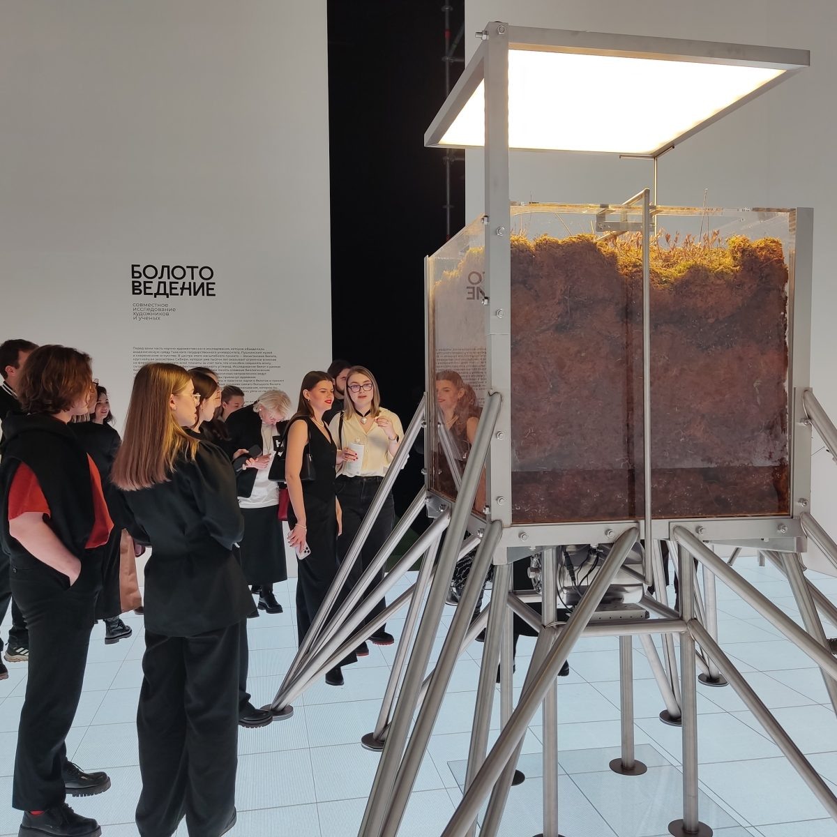    В день открытия выставки внутри инсталляции распустился весенний белый цветок