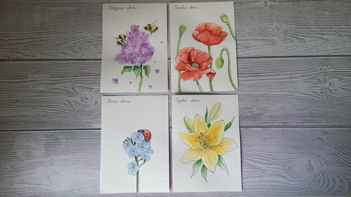 Лето в лепестках заката