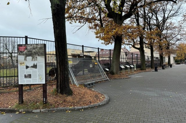   Фото: официальная страница зоопарка «ВКонтакте»