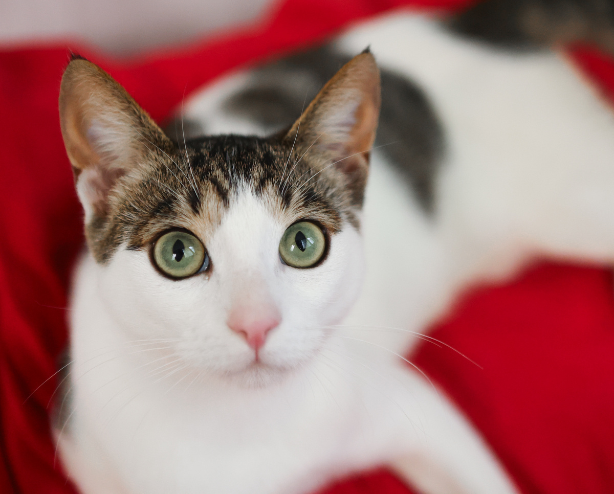 Никого не тронули эти глазки