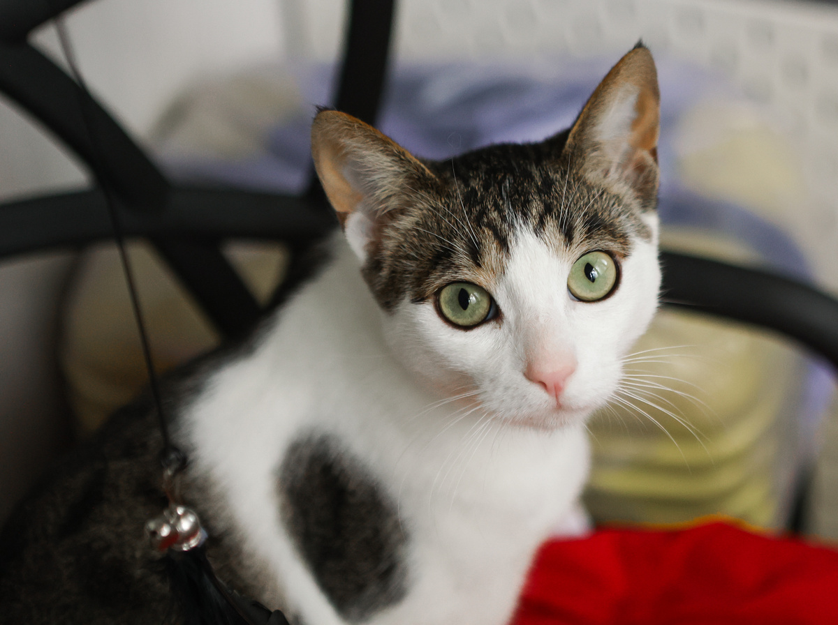 Хорошо. Я подожду