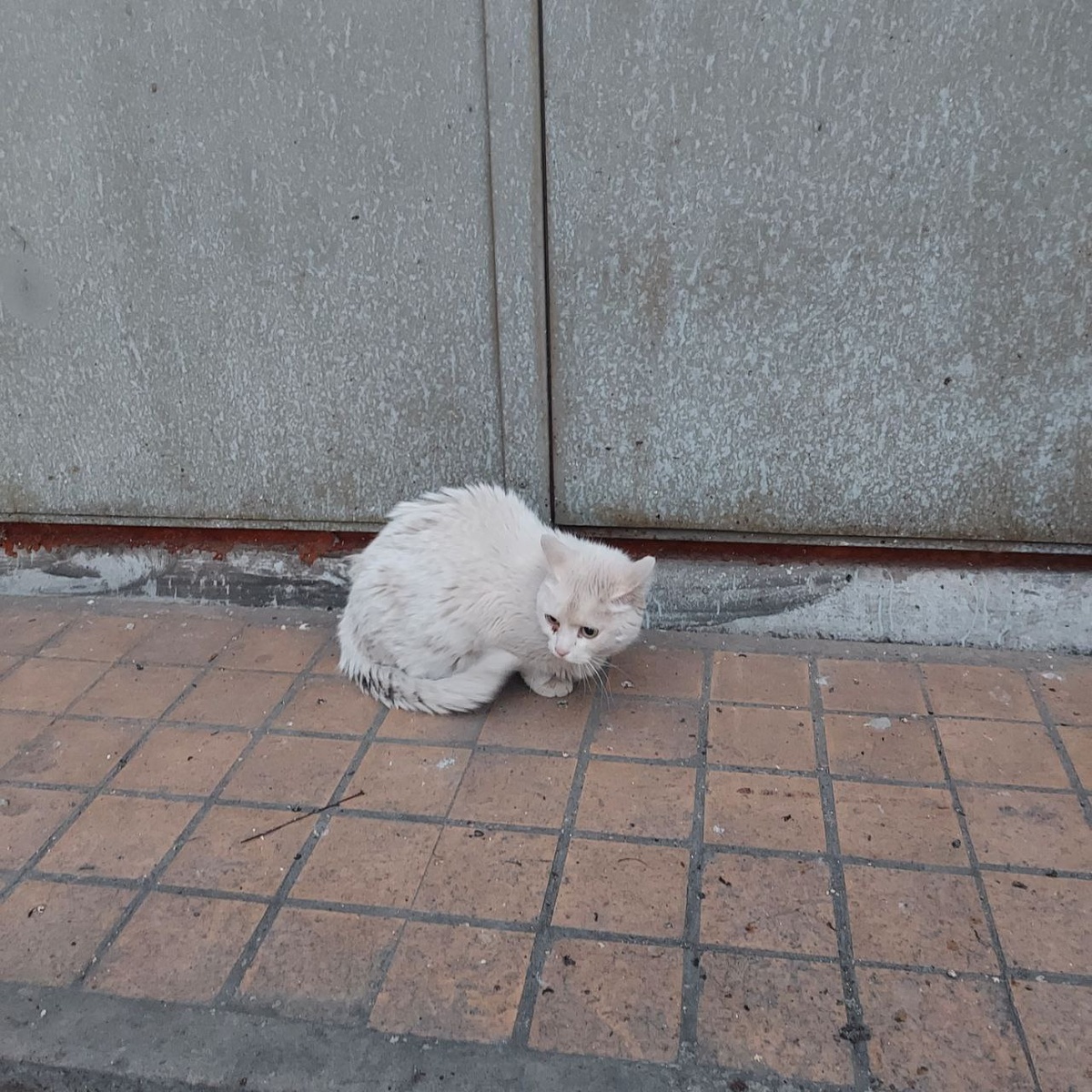 Знать бы, как вы такие бедолажки тут оказываетесь