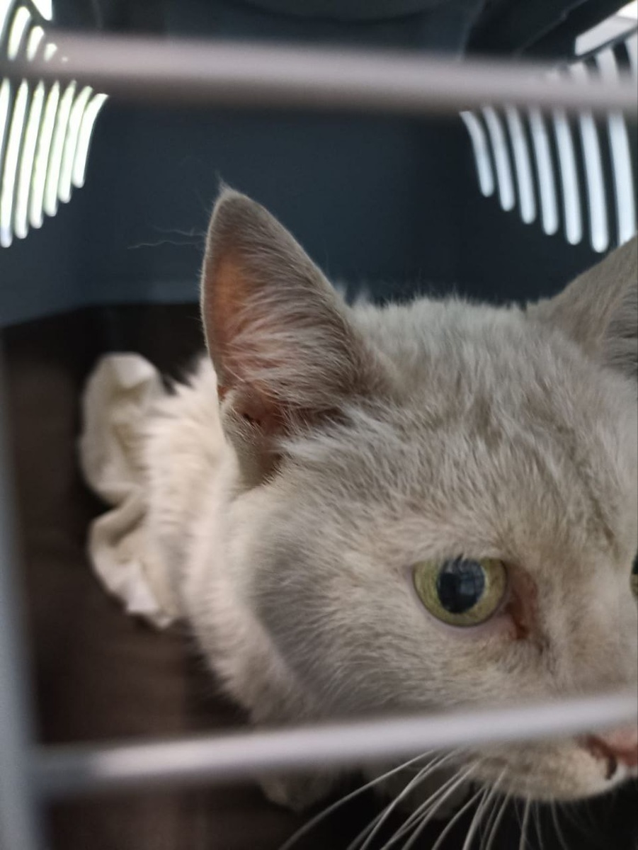 Кажется всё теперь будет хорошо