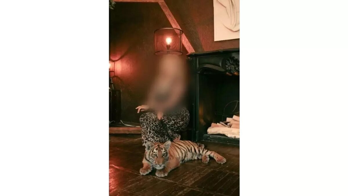     Источник: VK «Афиша Нижневартовска»