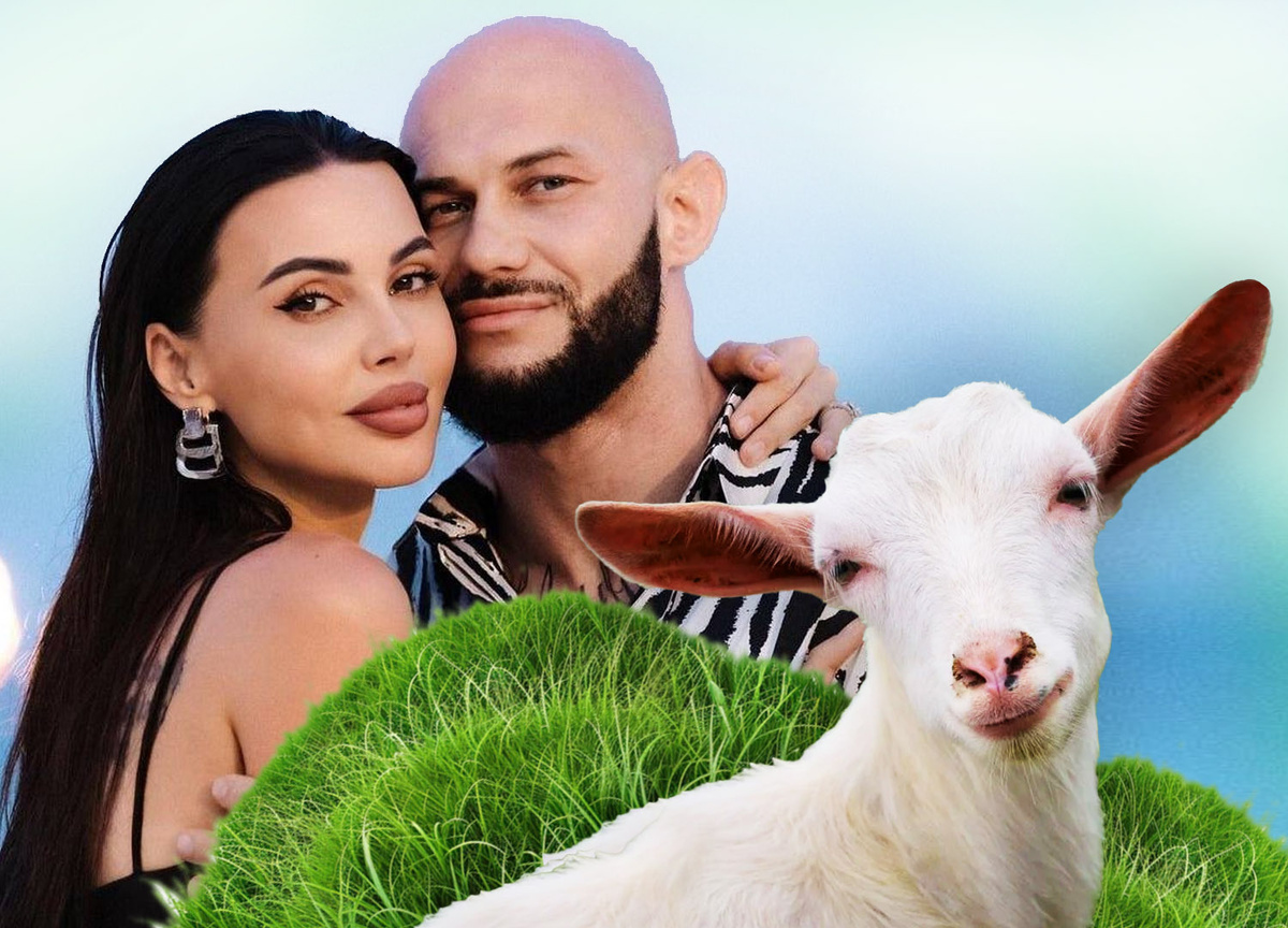 Авторский коллаж на основе фотографий из соцсетей героев