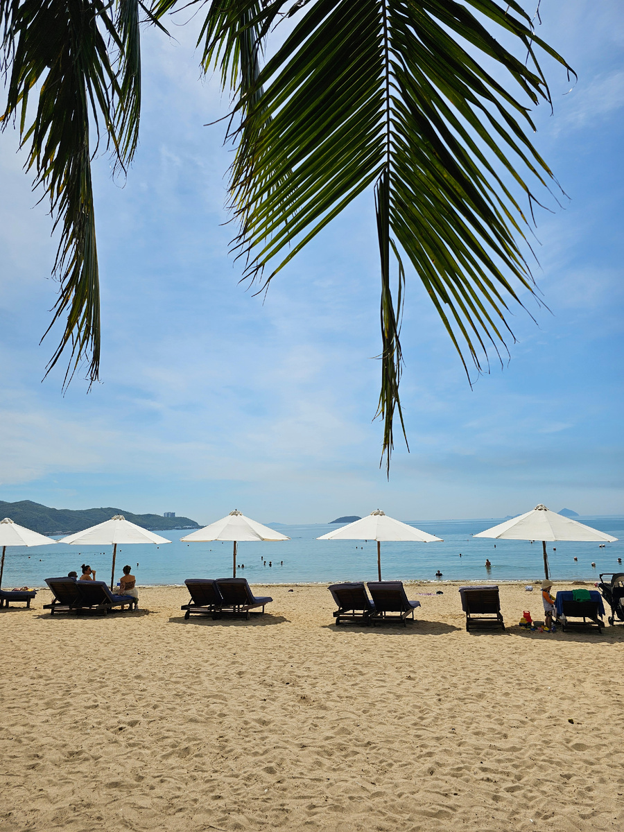 Нячанг, май-июнь 2024 г. 