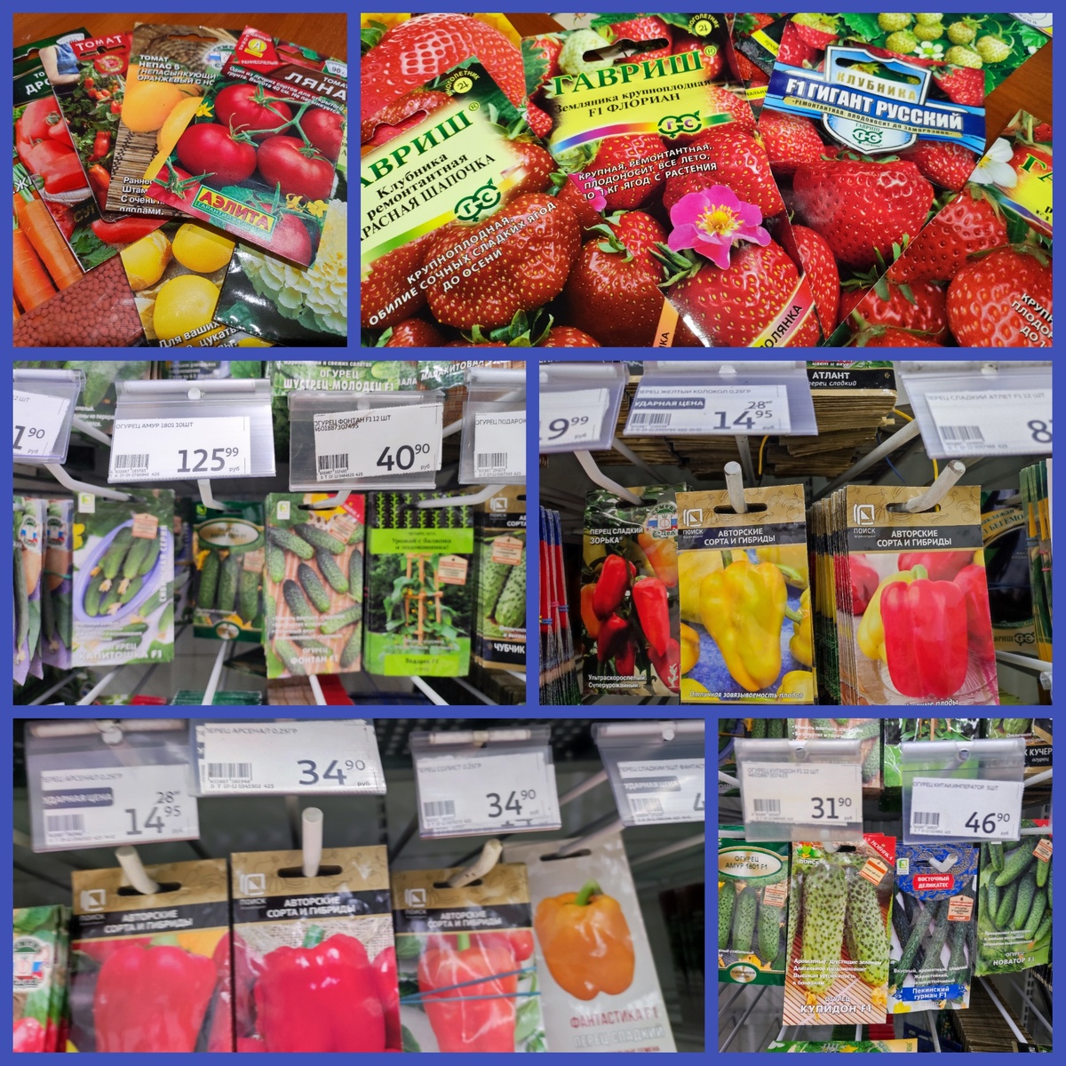 Коллаж фото автора, семена, ноябрь 2024 года