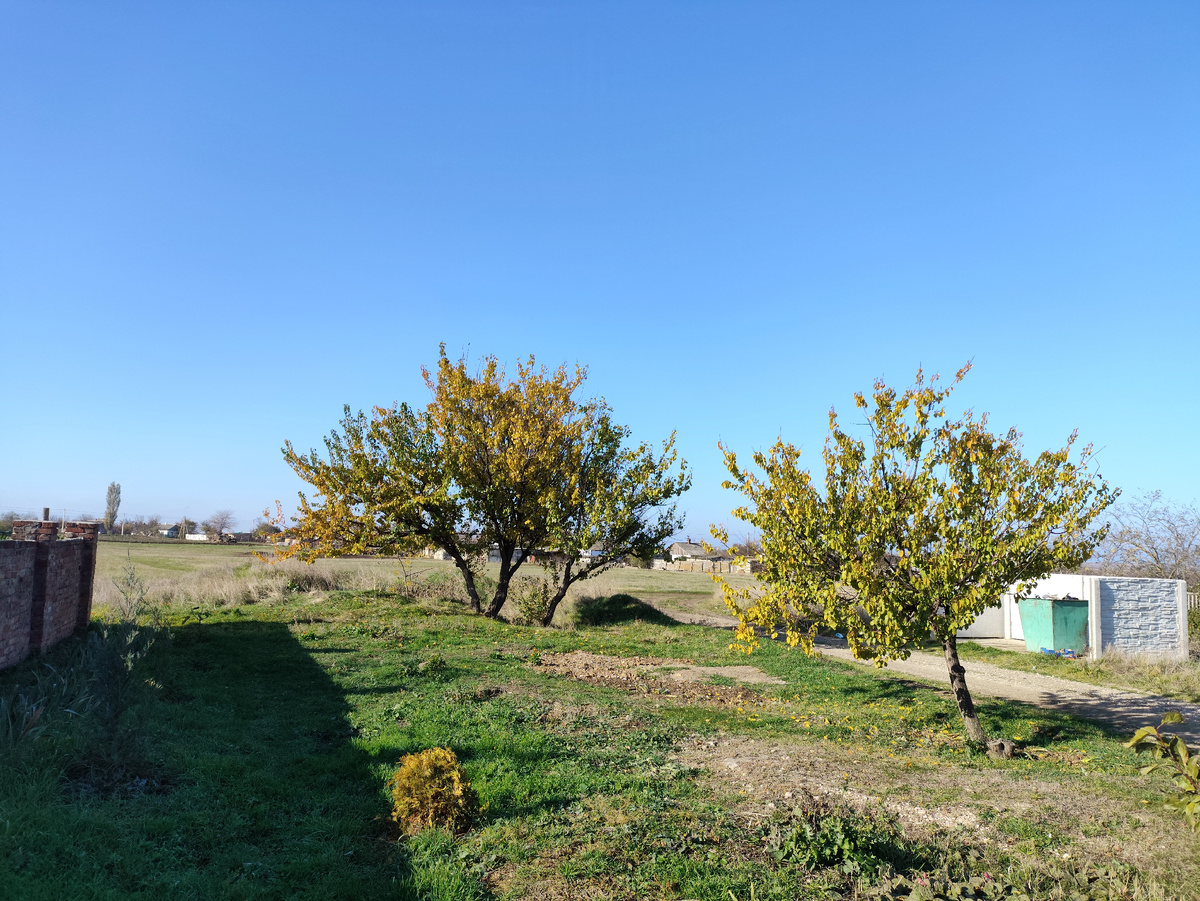 На выезде... Осень наступает и у нас... Абрикосы желтеть начали