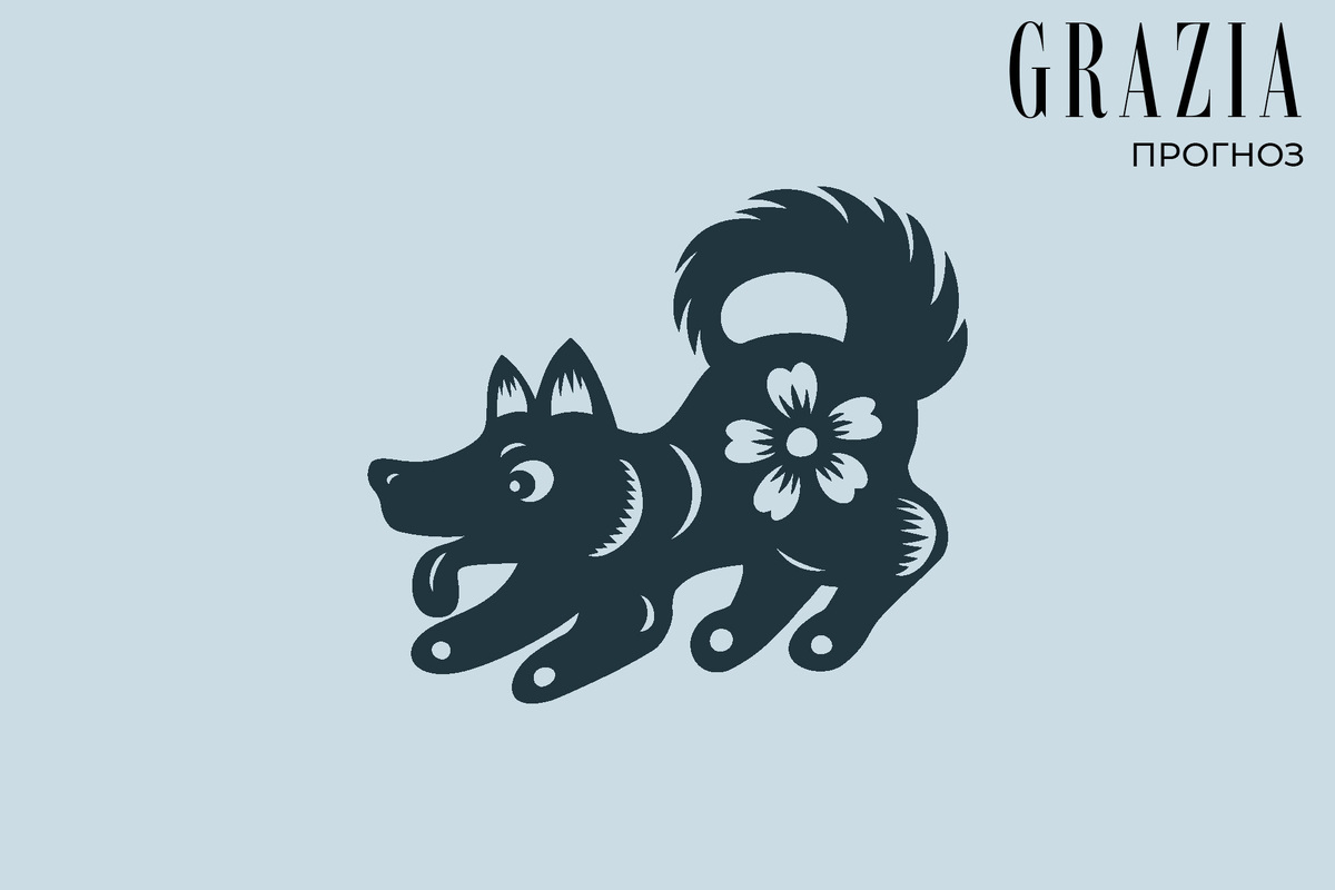     Чего ждать от 2025-го тем, кто родился в год Собаки: подробный гороскоп