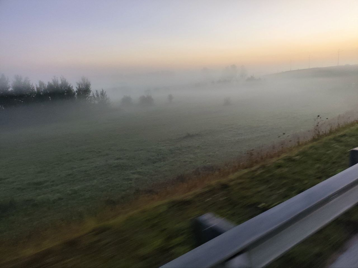 Утренний калининградский туман. Фото сделано автором канала и принадлежит ему на правах авторского права.