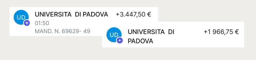 стипендия DSU