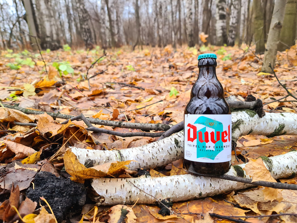 Duvel Tripel Hop Cashmere, фото автора
