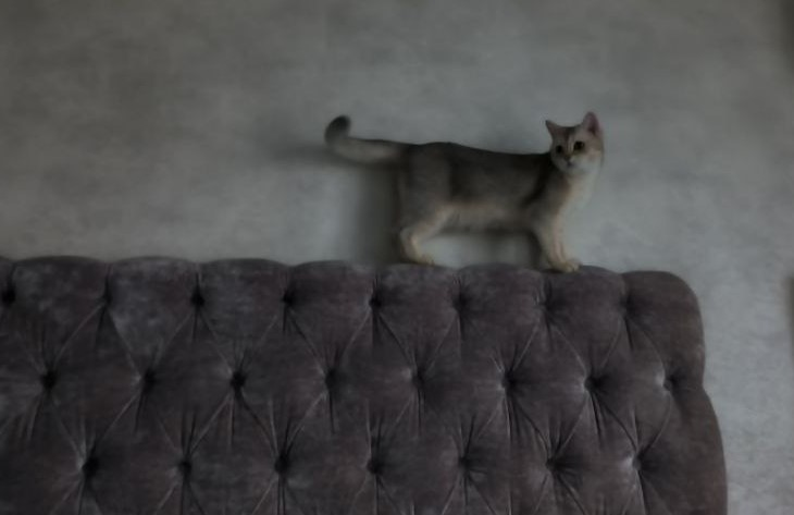 Фото "Родной стороны"