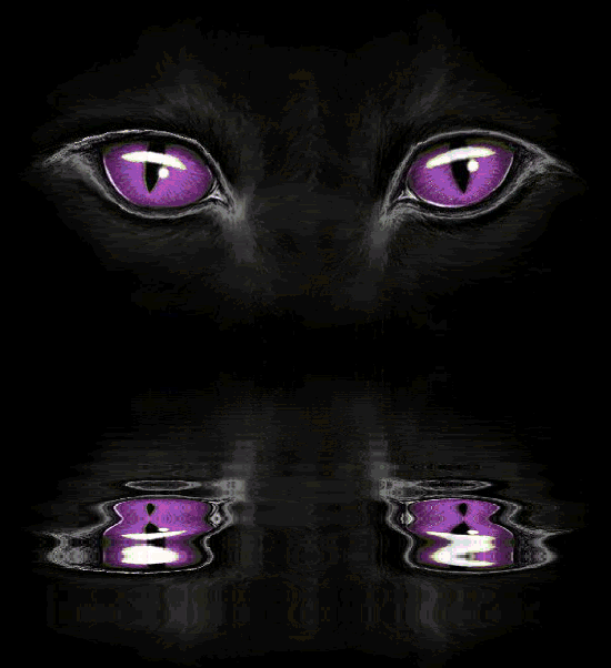 Фото: Яндекс картинки