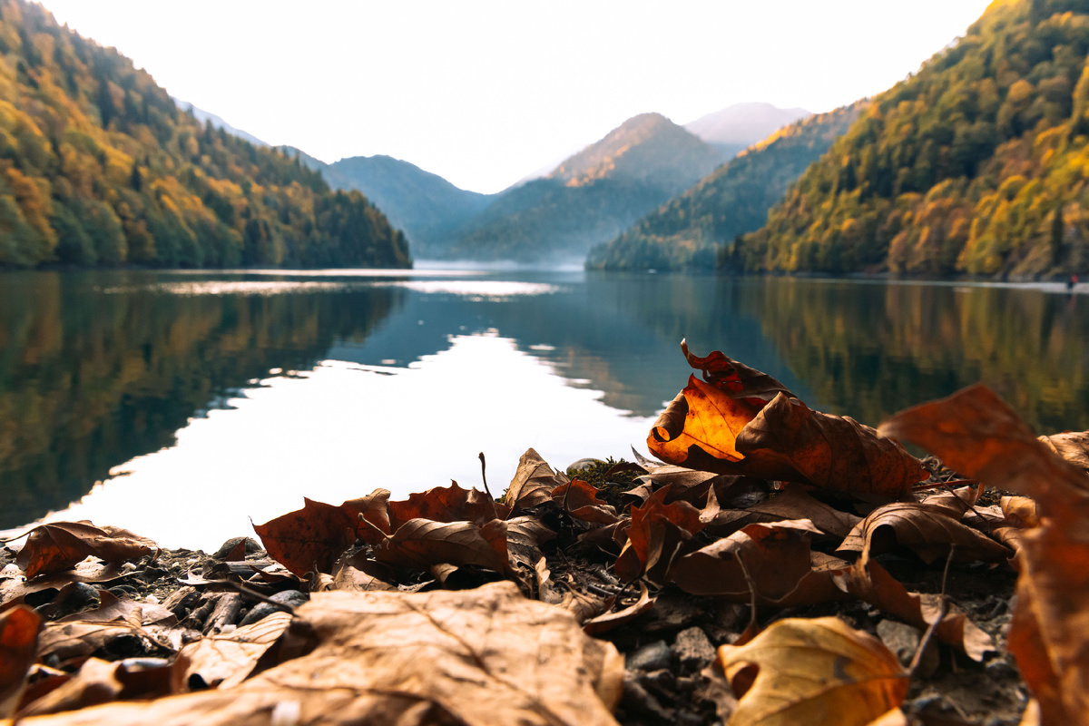 Фото:  flyently.gmail.com / Фотобанк Фотодженика