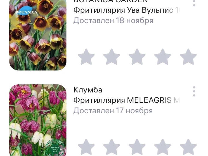 Первый опыт покупки растений на Вайлдберриз - делюсь опытом