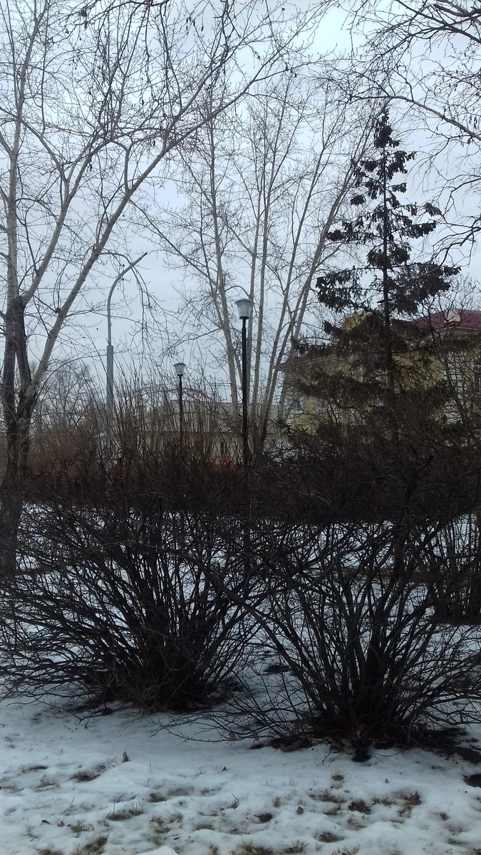 Снег не везде растаял.